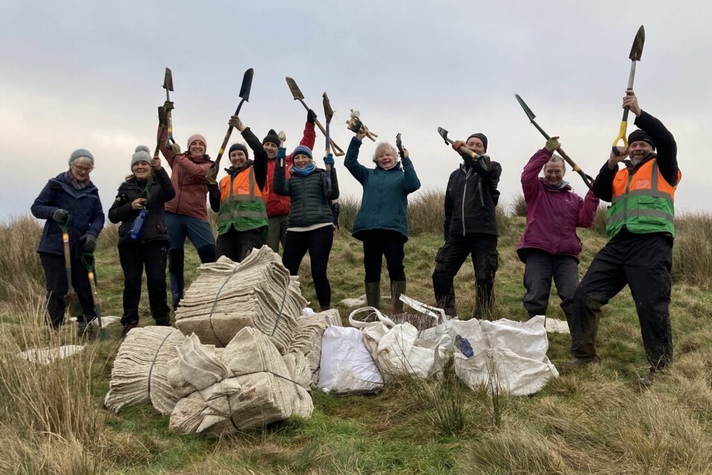 Team building day in a UK wildlife habitat restoration project