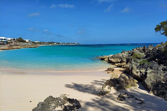 Coastal view of Bermuda’s subtropical islands with turquoise water, rocky shoreline and green woodland habitat.