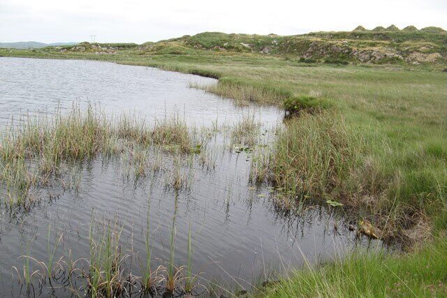Rewetted farmland transformed into wetland habitat for natural flood management in Dorset