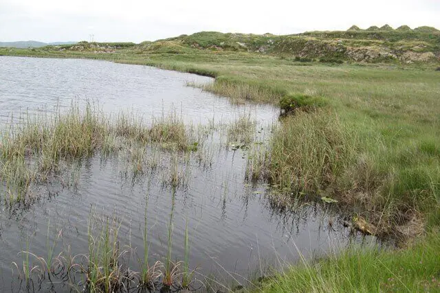 Rewetted farmland transformed into wetland habitat for natural flood management in Dorset