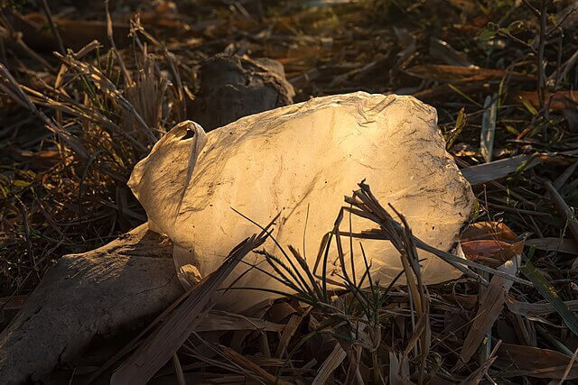 Discarded plastic bag caught in grass, highlighting single-use plastic pollution and environmental waste problem.