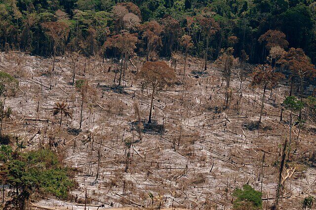 Deforestation in the Brazilian Amazon rainforest showing large areas of cleared land