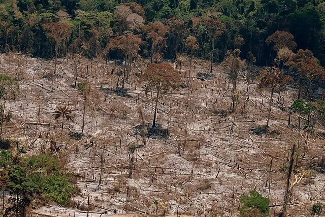 Deforestation in the Brazilian Amazon rainforest showing large areas of cleared land