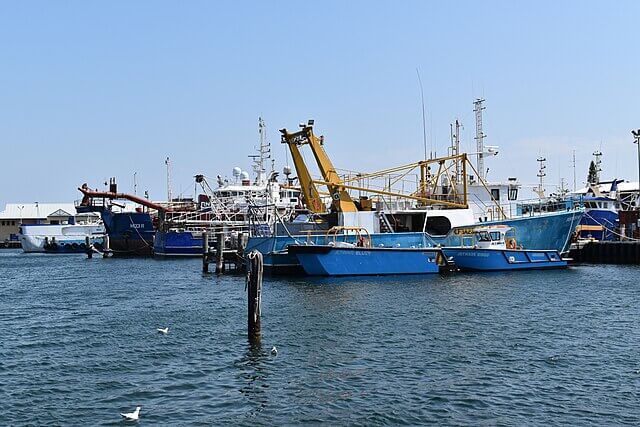 Industrial fishing vessel that operates on the high seas in the South Atlantic during night-time squid fishing