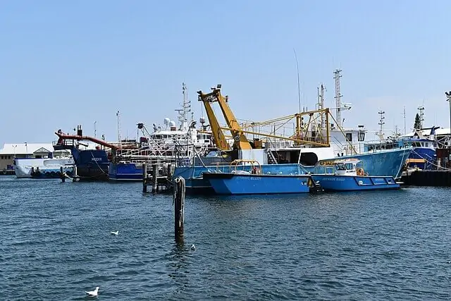 Industrial fishing vessel that operates on the high seas in the South Atlantic during night-time squid fishing