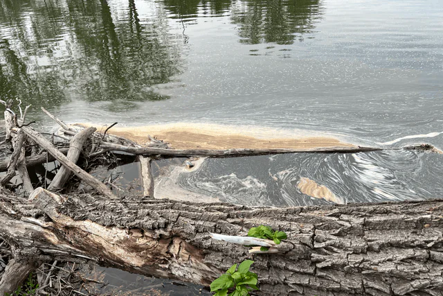 Polluted river with chemical contamination from PFAS runoff flowing through a natural landscape