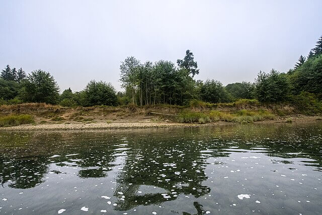 Water pollution from intensive agriculture affecting protected habitats in England