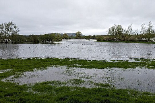 Wide UK floodplain with seasonal floodwater spreading across grassland beside a river