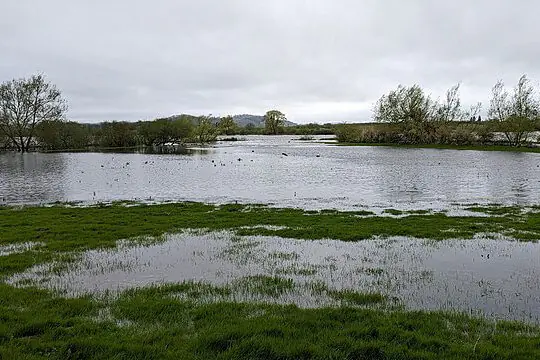 Wide UK floodplain with seasonal floodwater spreading across grassland beside a river