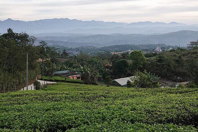 Forest-covered hills and valleys of the Western Ghats biodiversity hotspot in India