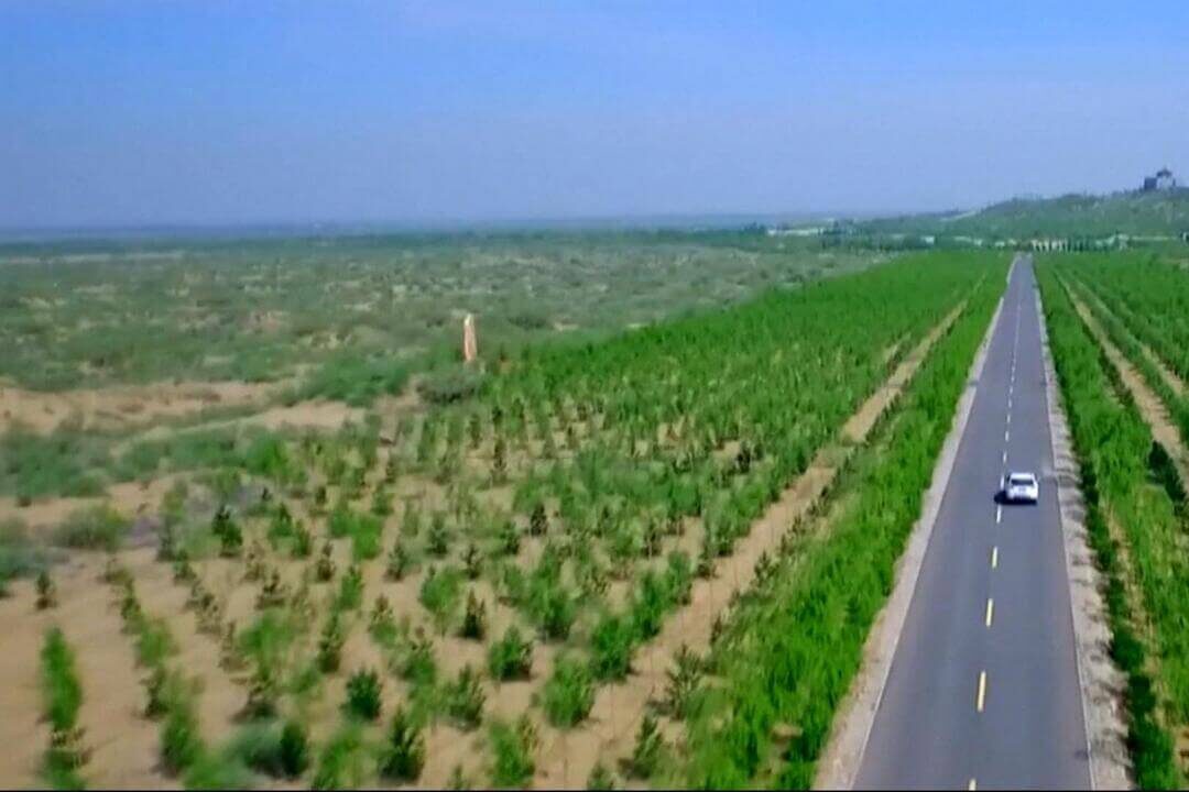 Reforestation belts of China’s Great Green Wall slowing desert expansion in northern China