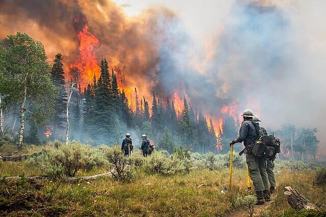 Firefighters battling an intense wildfire as flames spread through dry forest under extreme heat conditions