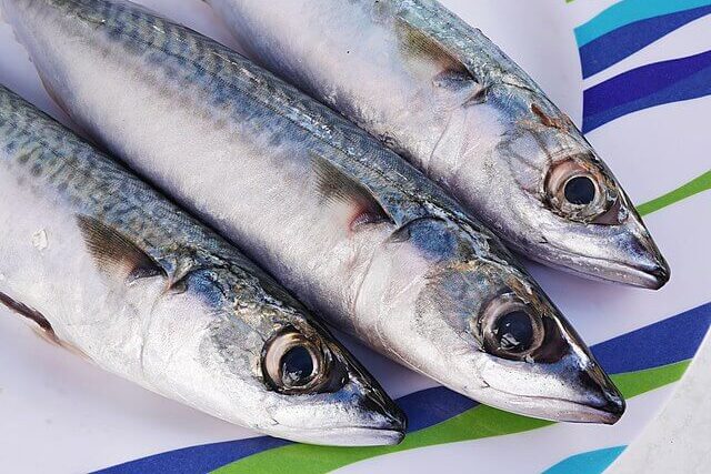 Fresh mackerel fish served on a plate, highlighting a popular seafood species affected by overfishing in the North East Atlantic.