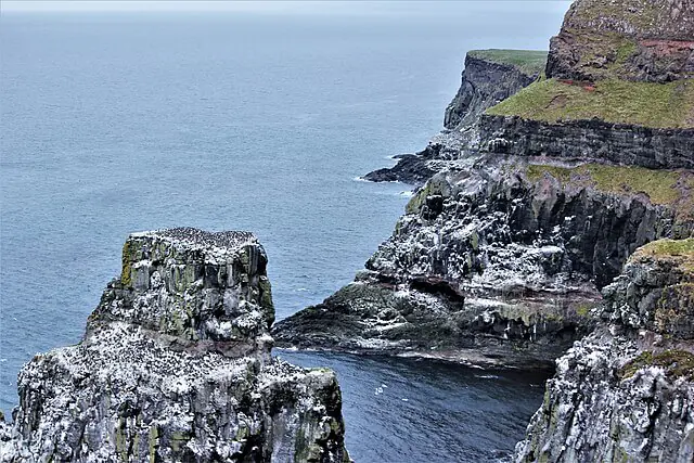 Seabirds nesting on the cliffs of Rathlin Island