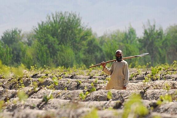 Farm landscape in Afghanistan showing how climate change and environmental pressures threaten agriculture and food security.
