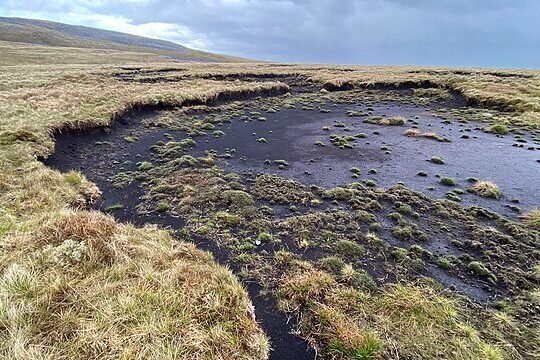 Peat bog landscape in Wales with wet moorland, mosses and grasses helping store carbon and support wildlife
