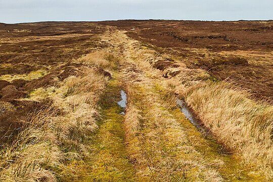 Restored peatland on Dartmoor with reprofiled bog, shallow pools and moorland landscape under open sky