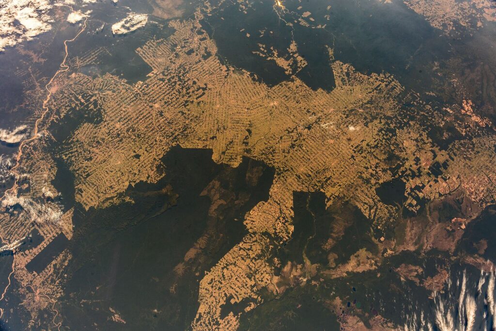 Satellite image of the Amazon rainforest highlighting areas of deforestation, with patches of cleared land and fragmented forest visible within the dense green canopy.