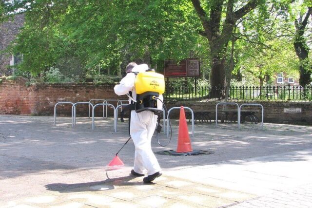Council worker applying glyphosate herbicide to roadside weeds near kerb