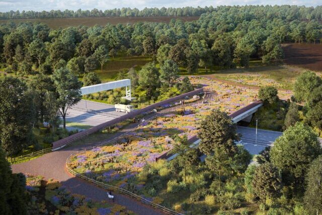 Artistic impression of the Cockrow heathland green bridge crossing the A3 in Surrey with heather-covered habitat and wildlife corridors
