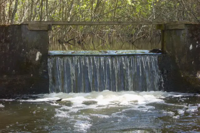 Dam Fräkenbotten in Sweden with flowing river water and surrounding forest habitat, highlighting river restoration and freshwater ecosystem conservation.