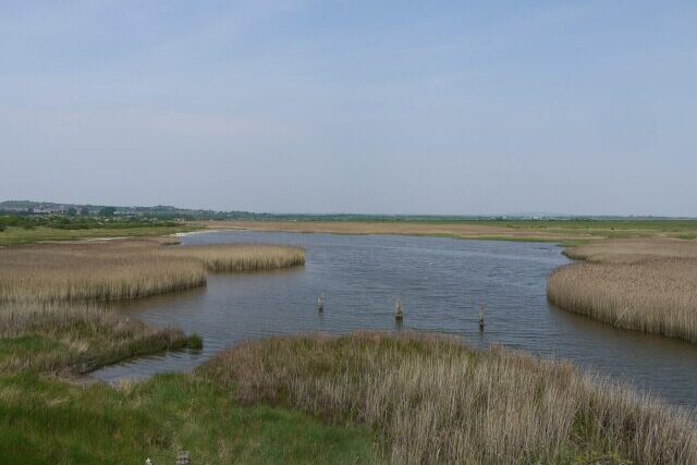 Farlington Marshes nature reserve showcasing important coastal ecosystems in Hampshire