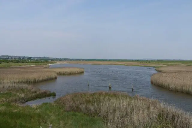 Farlington Marshes nature reserve showcasing important coastal ecosystems in Hampshire