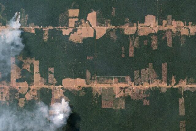 Deforested area in Brazil’s Atlantic Forest, where conservation efforts have helped reduce forest loss.