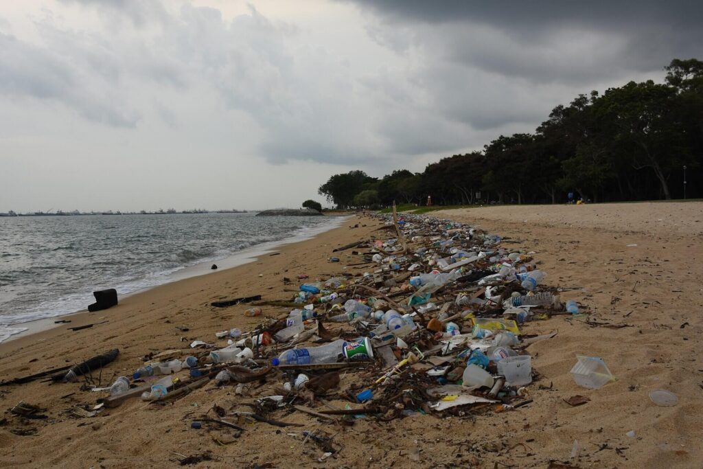 Plastic debris floating in coastal waters and littered on a coastline, illustrating the growing problem of marine pollution.
