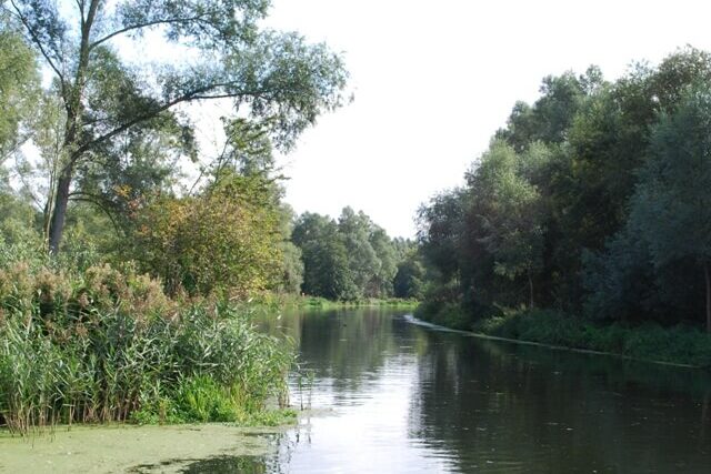 Designated bathing area on the River Stour in Suffolk, one of England's monitored inland river bathing sites with surrounding natural riverside habitat.