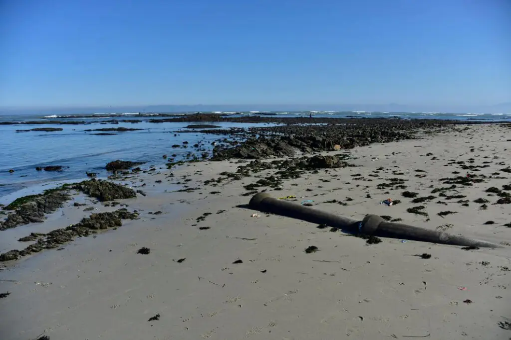 Wastewater discharge pipe on the coast linked to concerns over forever chemicals entering marine ecosystems