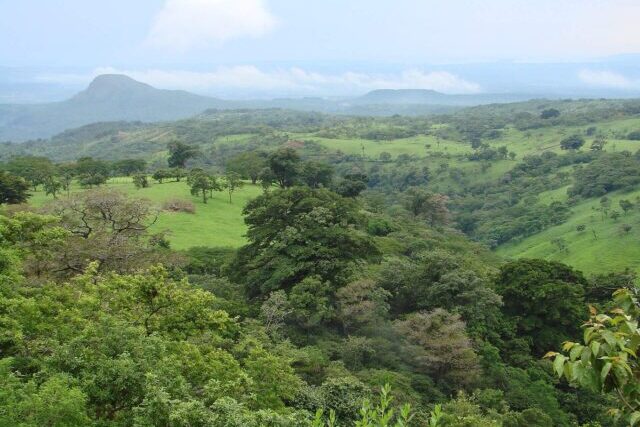 Panoramic view of Área de Conservación Guanacaste in Costa Rica, a UNESCO World Heritage Site renowned for its rich biodiversity and tropical forests.