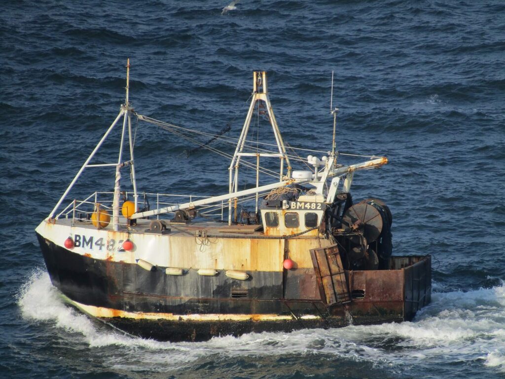 Commercial fishing trawler operating in the Adriatic Sea where dolphins scavenge for discarded fish