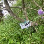 Natural World Fund investigation site