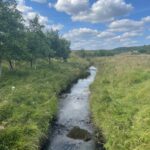 Warks burn river being monitored for marine health