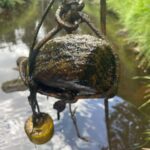 Weighted river monitor up close