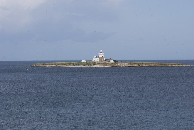 Coquet Island seabird sanctuary off the coast of Northumberland