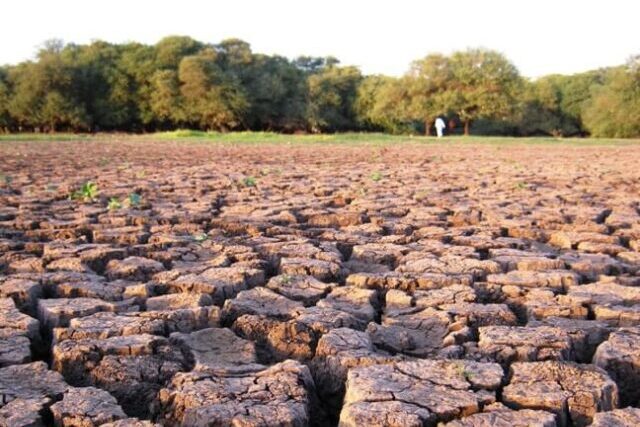 Cracked ground showing drought conditions caused by extreme heat and water shortages