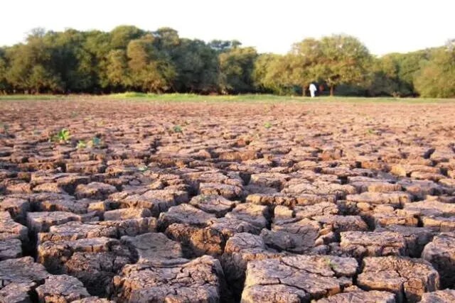 Cracked ground showing drought conditions caused by extreme heat and water shortages