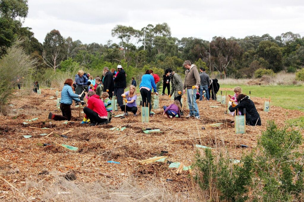 Community volunteers planting trees to restore habitats, increase biodiversity and support nature recovery
