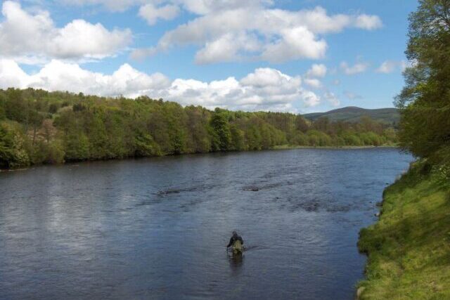 River Spey flowing through the Scottish countryside with natural riverbanks and surrounding woodland