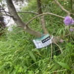 Natural World Fund investigation site