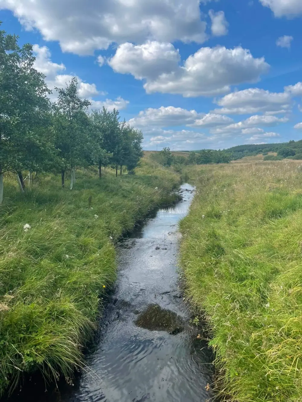 Warks burn river being monitored for marine health