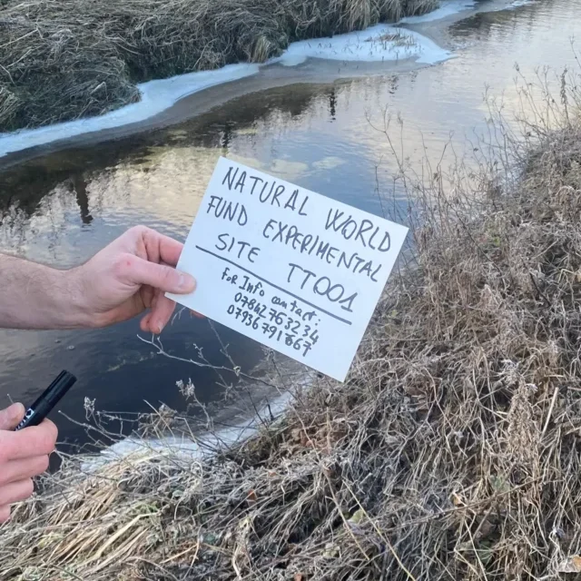 Natural World Fund experimental site