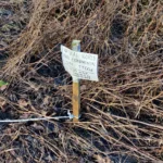 Natural World Fund site of scientific importance